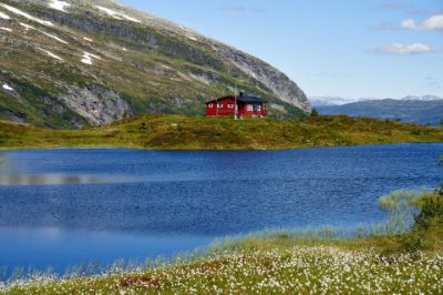 The Beauty of Off-Grid Living The Beauty of Off-Grid Living